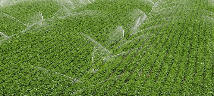 sulama çeşitleri rainbird sulama